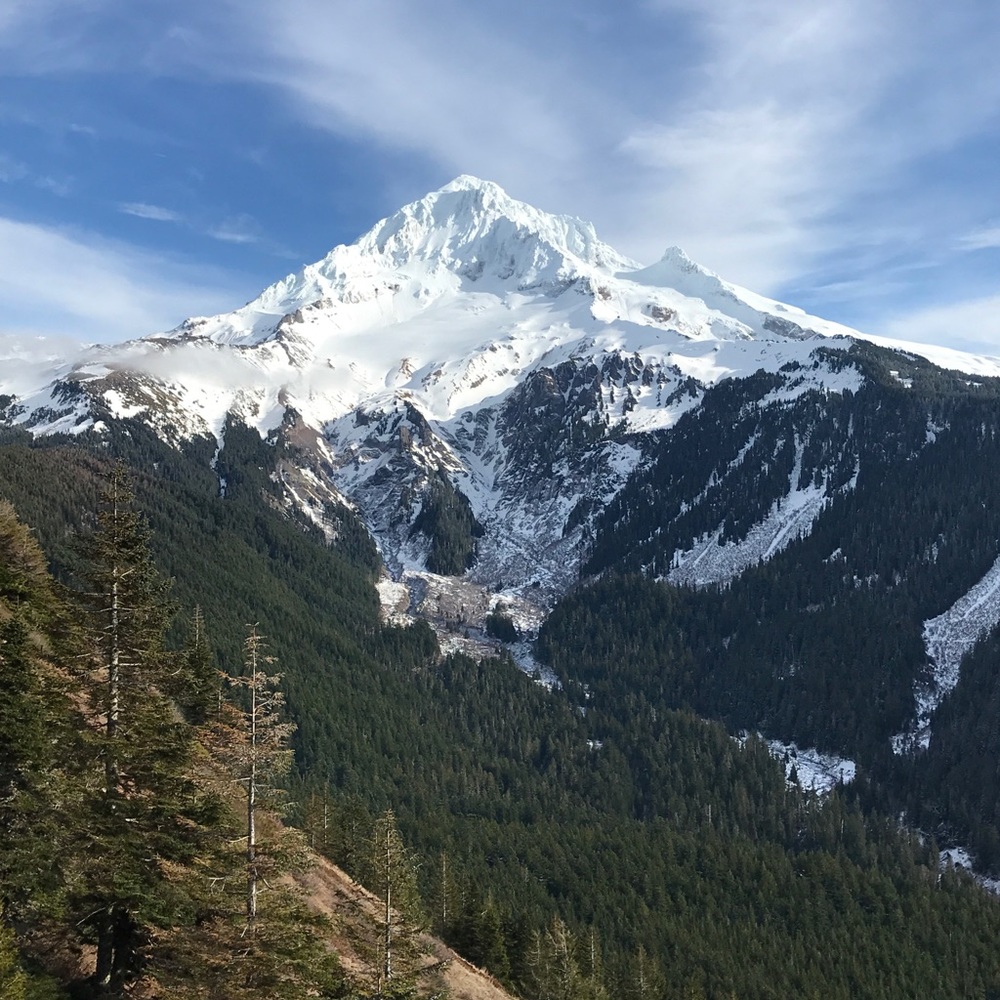 Offers welcome 🤗 will be removing soon!